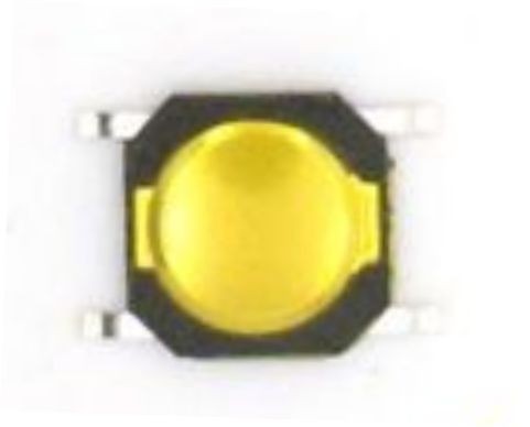 SCR1